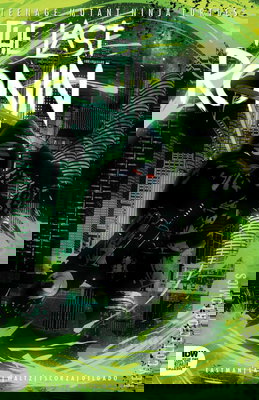 Teenage Mutant Ninja Turtles: The Last Ronin