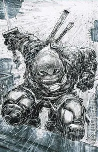 Teenage Mutant Ninja Turtles: The Last Ronin #1