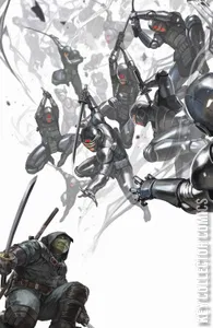 Teenage Mutant Ninja Turtles: The Last Ronin #1