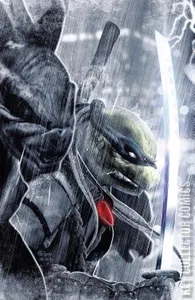 Teenage Mutant Ninja Turtles: The Last Ronin #1