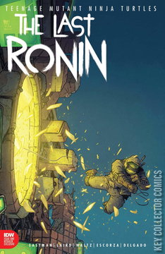Variant Cover for Teenage Mutant Ninja Turtles: The Last Ronin #1