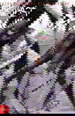 Teenage Mutant Ninja Turtles: The Last Ronin