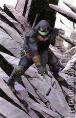 Cover for Teenage Mutant Ninja Turtles: The Last Ronin #1