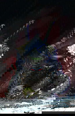 Teenage Mutant Ninja Turtles: The Last Ronin