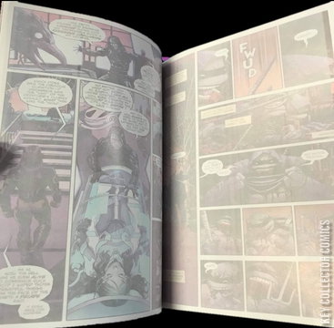 Variant Cover for Teenage Mutant Ninja Turtles: The Last Ronin #1