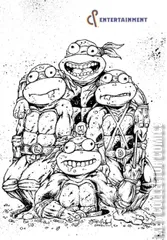 Cover for Teenage Mutant Ninja Turtles: The Last Ronin #1