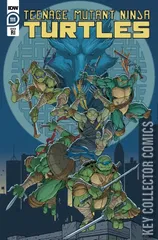 Variant Cover for Teenage Mutant Ninja Turtles #111