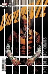 Cover for Daredevil #25