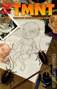 TMNT: Teenage Mutant Ninja Turtles #22