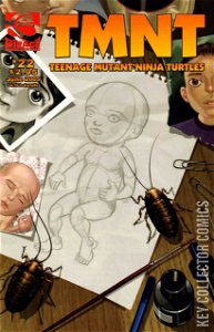 TMNT: Teenage Mutant Ninja Turtles #22