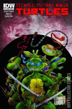 Variant Cover for Teenage Mutant Ninja Turtles #1
