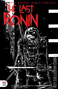 Teenage Mutant Ninja Turtles: The Last Ronin #1