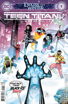 Teen Titans Endless Winter Special