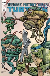 Teenage Mutant Ninja Turtles #113