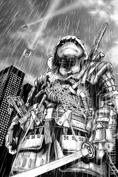 Variant Cover for Teenage Mutant Ninja Turtles: The Last Ronin #2