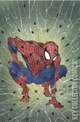 Variant Cover for Spider-Man #1