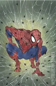 Spider-Man #1