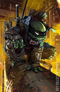 Variant Cover for Teenage Mutant Ninja Turtles: The Last Ronin #2