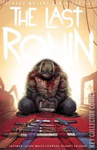 Teenage Mutant Ninja Turtles: The Last Ronin #2