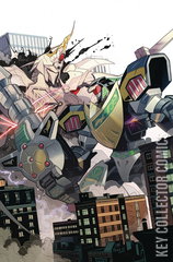 Variant Cover for Mighty Morphin Power Rangers #22