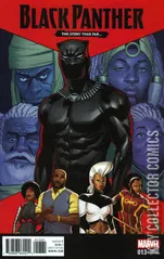 Variant Cover for Black Panther #13