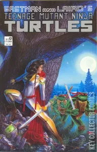 Teenage Mutant Ninja Turtles #13