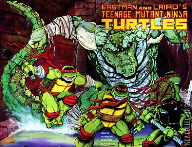 Teenage Mutant Ninja Turtles #45
