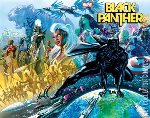 Cover for Black Panther #1