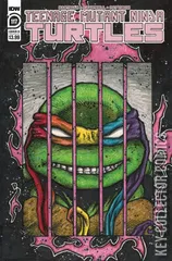 Variant Cover for Teenage Mutant Ninja Turtles #117