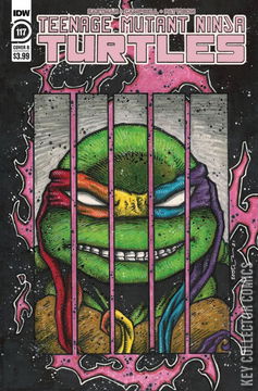 Variant Cover for Teenage Mutant Ninja Turtles #117