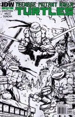 Variant Cover for Teenage Mutant Ninja Turtles #1