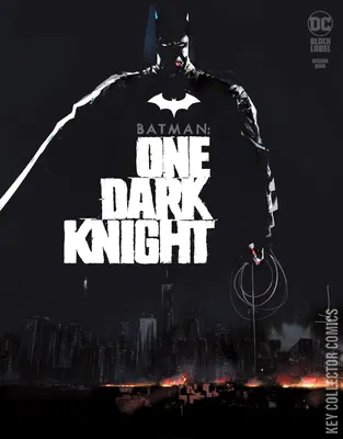 Batman: One Dark Knight