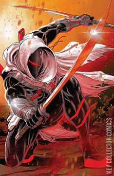 Variant Cover for Radiant Black #8