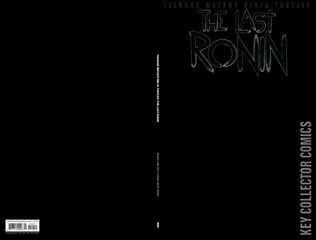 Variant Cover for Teenage Mutant Ninja Turtles: The Last Ronin #3