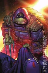 Variant Cover for Teenage Mutant Ninja Turtles: The Last Ronin #3