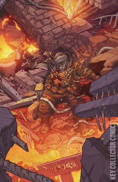 Variant Cover for Teenage Mutant Ninja Turtles: The Last Ronin #3