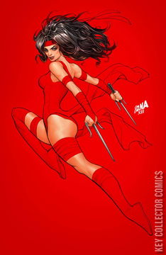 Variant Cover for Daredevil #29