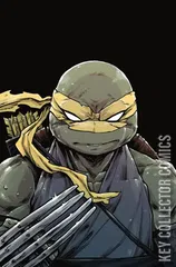 Variant Cover for Teenage Mutant Ninja Turtles #97