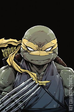 Variant Cover for Teenage Mutant Ninja Turtles #97