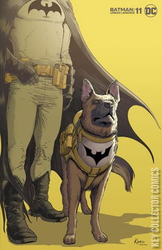 Variant Cover for Batman: Urban Legends #11