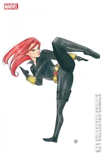 Black Widow #13