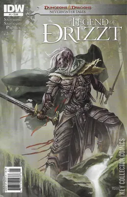 Dungeons & Dragons: The Legend of Drizzt: Neverwinter Tales