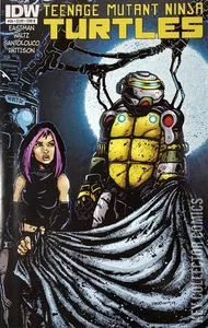 Teenage Mutant Ninja Turtles #34