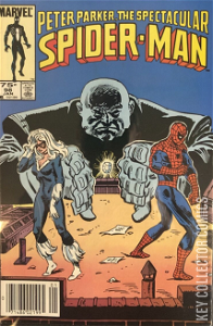 Peter Parker: The Spectacular Spider-Man #98 