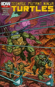 Variant Cover for Teenage Mutant Ninja Turtles #18