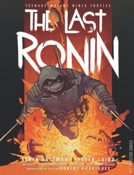 Teenage Mutant Ninja Turtles: The Last Ronin Hardcover – Value