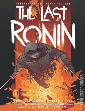 Variant Cover for Teenage Mutant Ninja Turtles: The Last Ronin