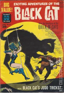 Black Cat Comics #65