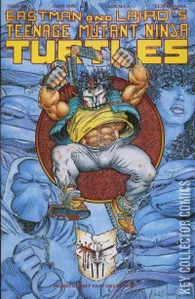 Teenage Mutant Ninja Turtles #48