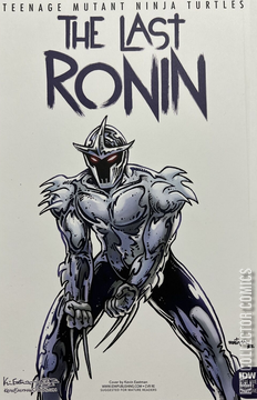 Variant Cover for Teenage Mutant Ninja Turtles: The Last Ronin #5